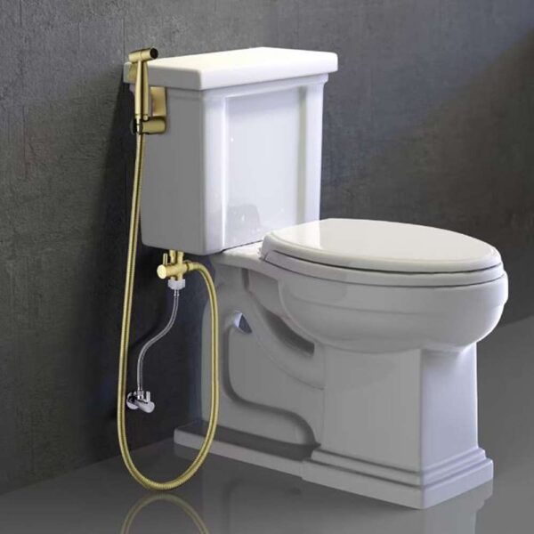 Single-Handle Bidet Faucet with Sprayer Holder, Solid Brass T-Valve Adapter and Flexible Bidet Hose in Brushed Gold